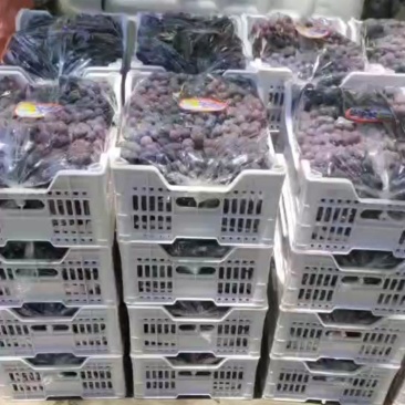 自然果，软枝，果粉好，甜度高，欢迎各地老板过来砸单