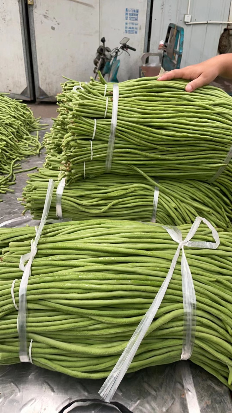 精品长豆角，基地直发价格美丽，现采现发质量上等，