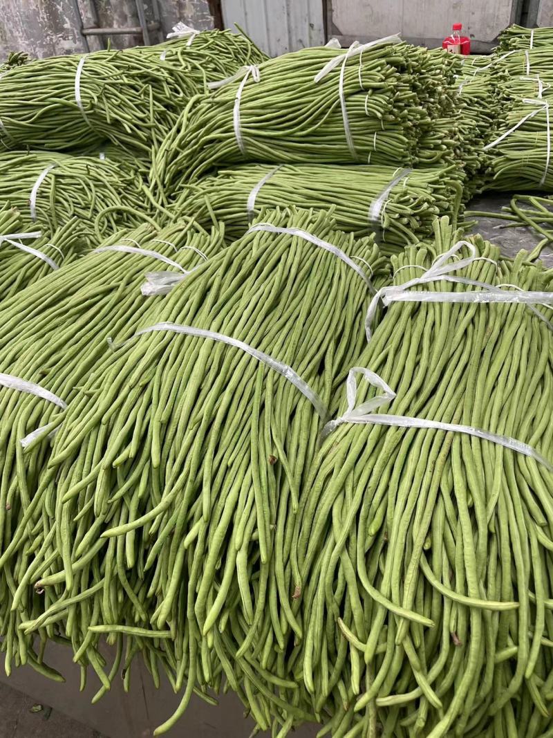 精品长豆角，基地直发价格美丽，现采现发质量上等，