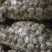 山东大蒜，大小规格都有，常年有货，货发国内外，保质量，