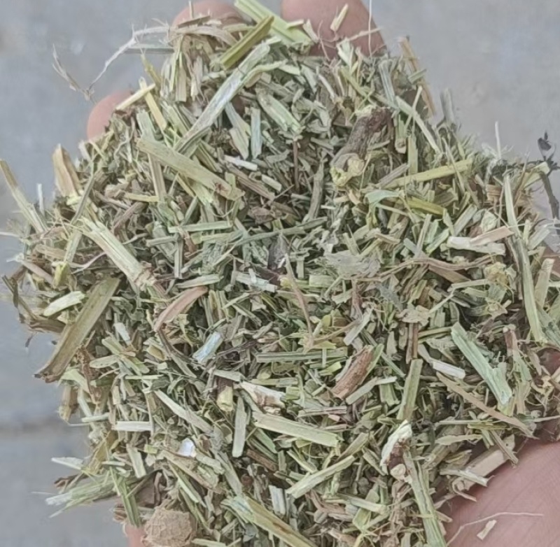 2024纯绿优质花生秧无土无膜无霉欢迎来一亩田联系