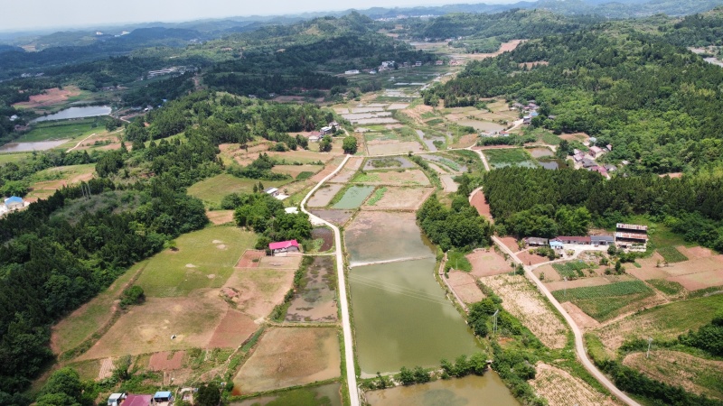山地出租