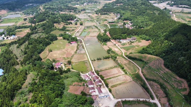 山地出租