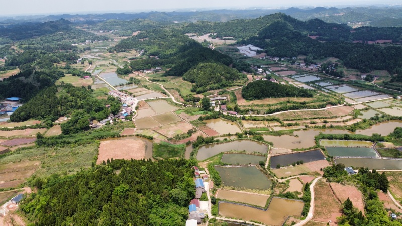 山地出租