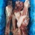 猪后腿骨
