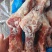 猪后腿骨