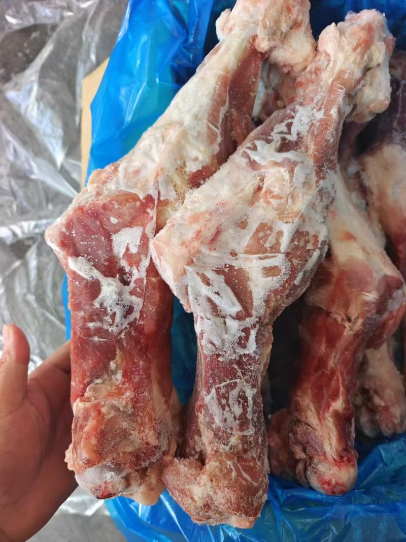 猪后腿骨