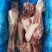 猪后腿骨