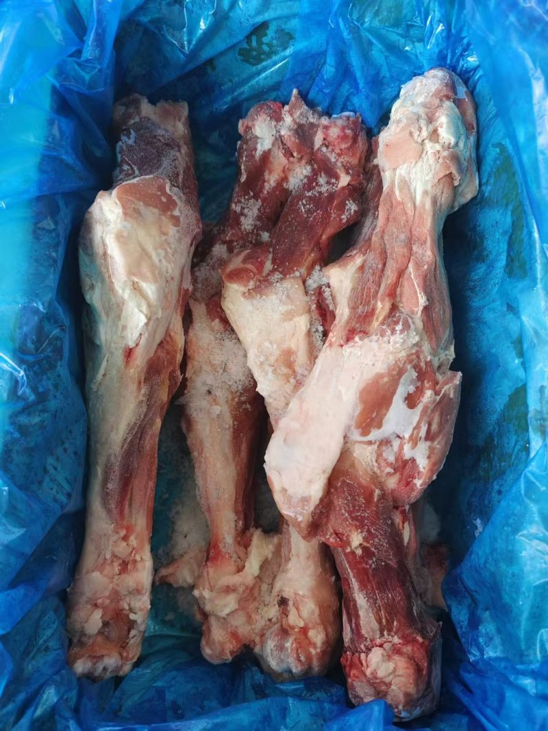 猪后腿骨