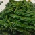 小皱皮（特辣）现摘现发保质保量，一手货源诚信经营