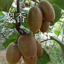 陕西周至猕猴桃之乡，翠香，纯甜无酸，口感相当，核心产区