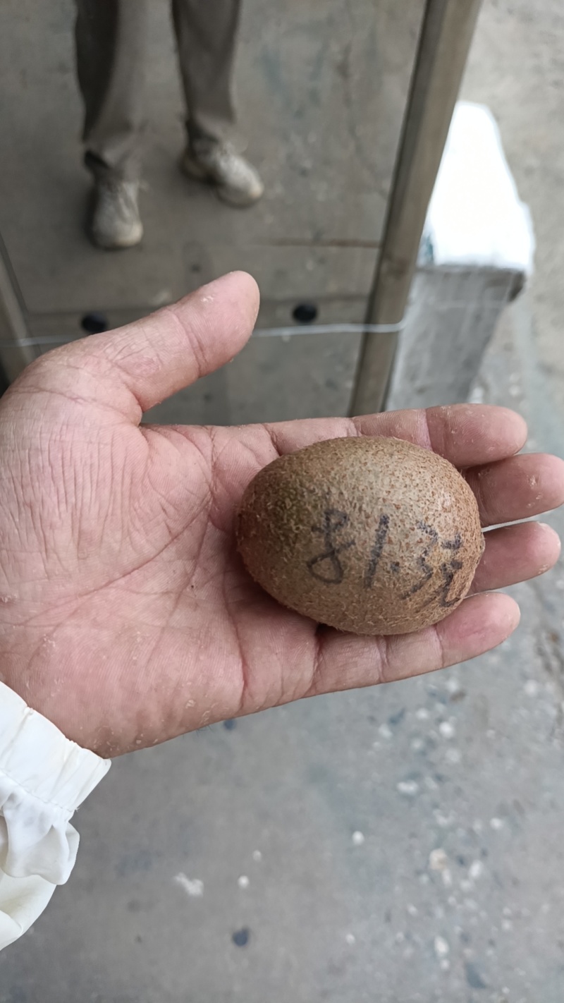 陕西周至猕猴桃之乡，翠香，纯甜无酸，口感相当，核心产区