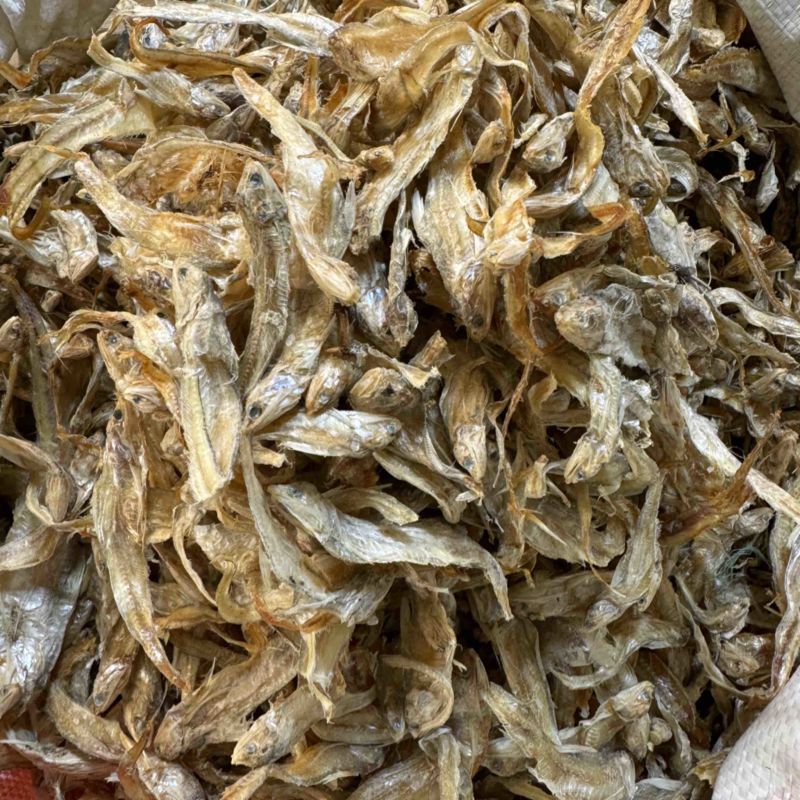 毛刀鱼毛花鱼凤尾鱼干度好10成
