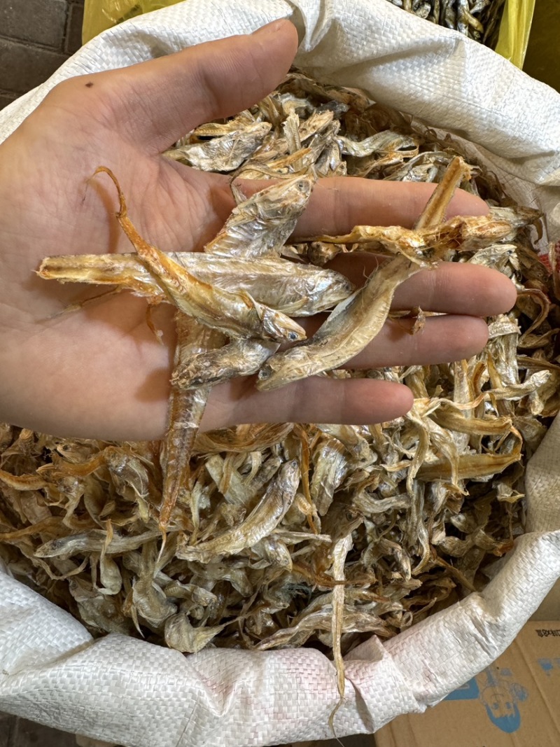 毛刀鱼毛花鱼凤尾鱼干度好10成