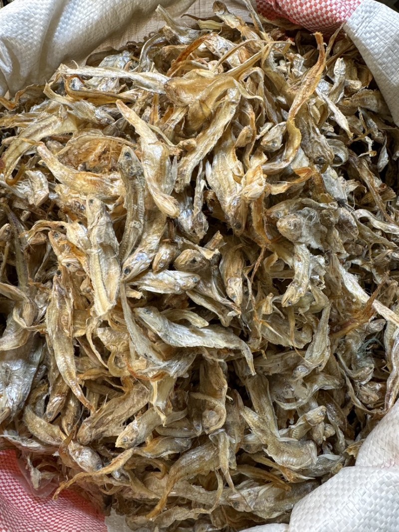 毛刀鱼毛花鱼凤尾鱼干度好10成