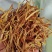 保鲜菜黄条菜清水菜祁东特产摆地摊烧烤麻辣烫串串螺蛳粉专用