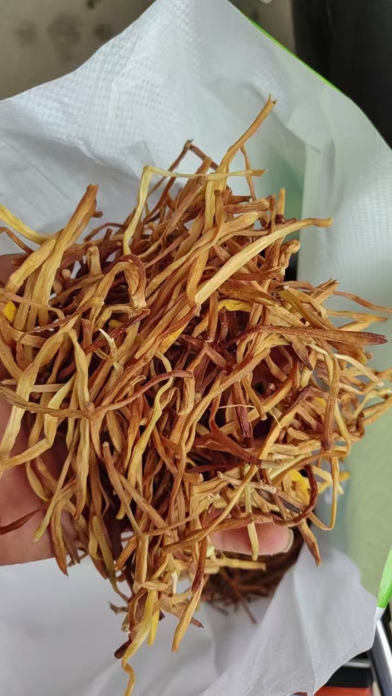 保鲜菜黄条菜清水菜祁东特产摆地摊烧烤麻辣烫串串螺蛳粉专用