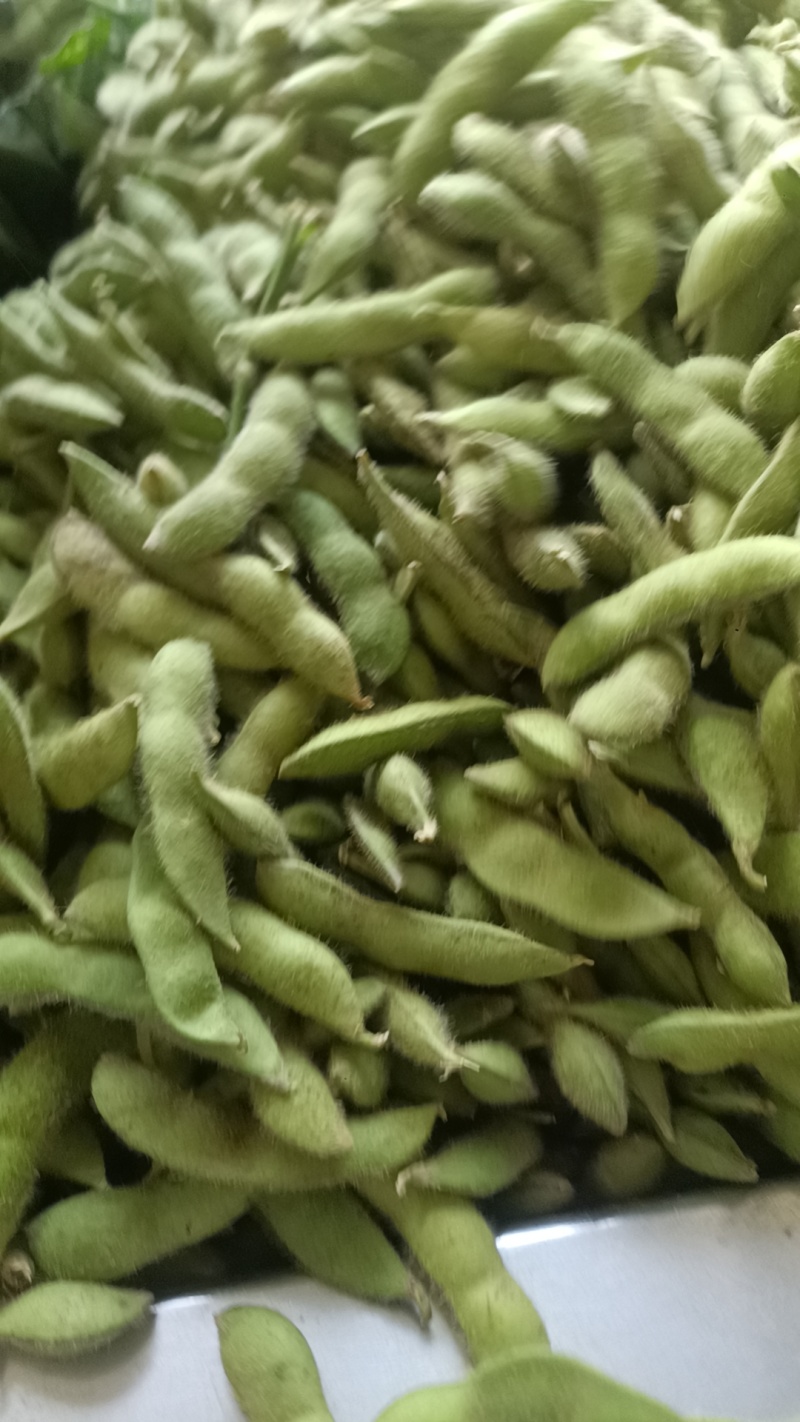 绿宝石毛豆大量供应，基地直发，价格从优，质量好