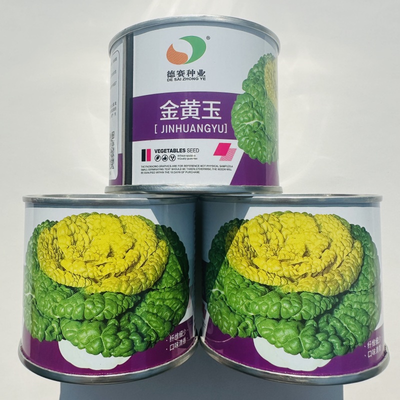 德赛金黄玉黄心乌种子特矮乌塌菜种籽特耐寒蔬菜种子腊月乌菜