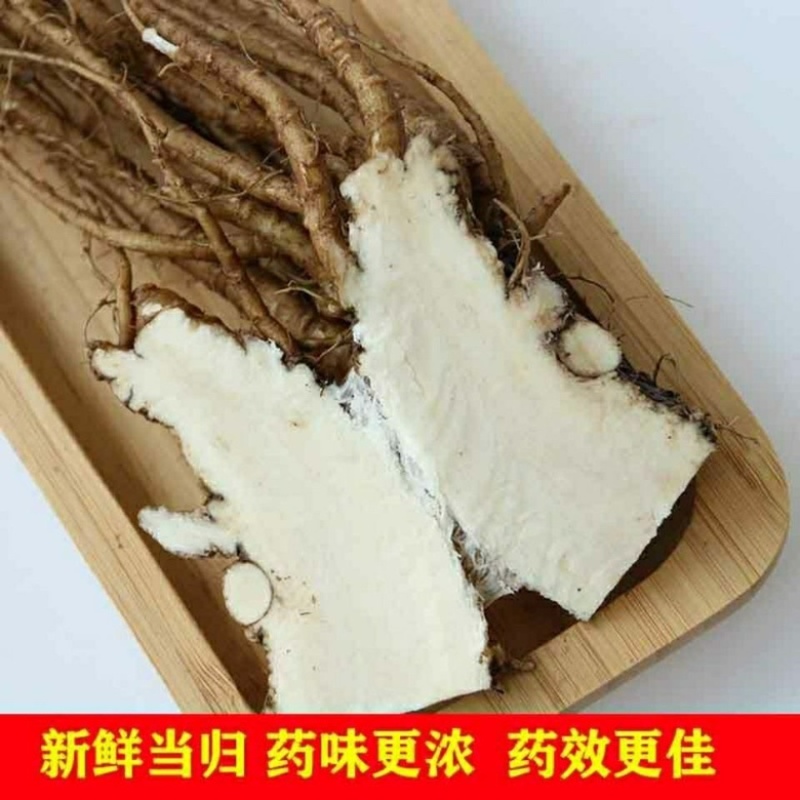 岷县农家自产现挖野生新鲜当归批发鲜货批发干货齐全