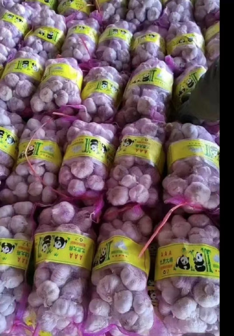 山东大蒜紫皮蒜保质保量全国物流发货