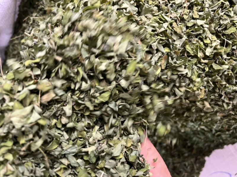 甜鸡骨草叶相思叶