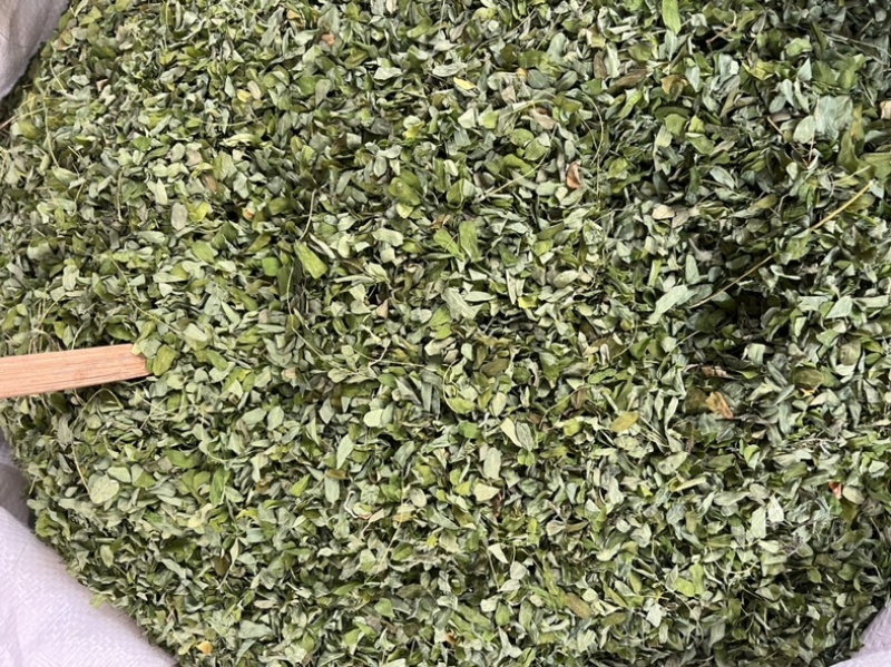 甜鸡骨草叶相思叶