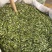 甜鸡骨草叶相思叶