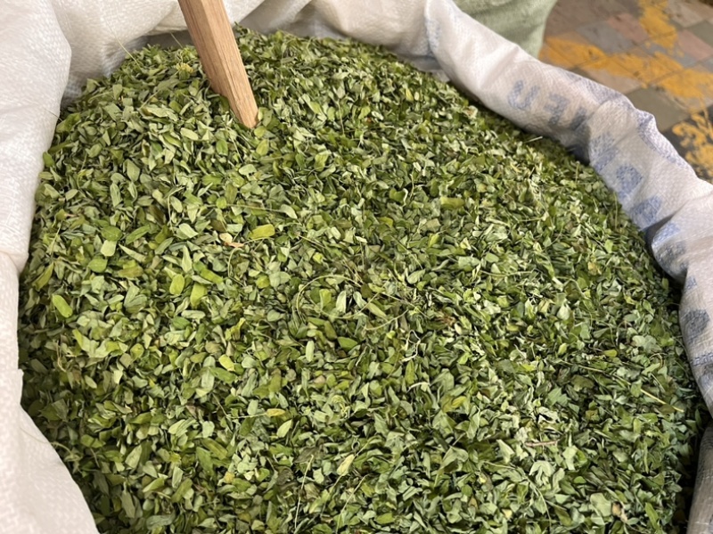 甜鸡骨草叶相思叶