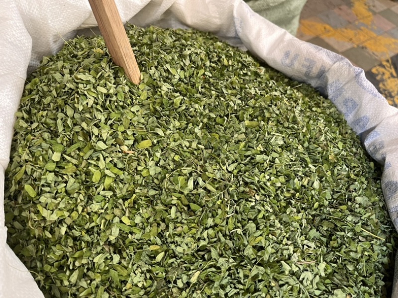 甜鸡骨草叶相思叶