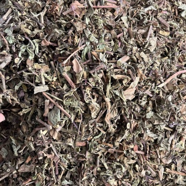 猫须草切段猫须草一公斤起发
