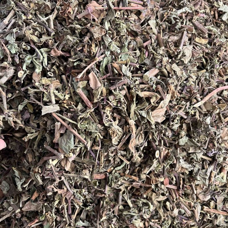 猫须草切段猫须草一公斤起发