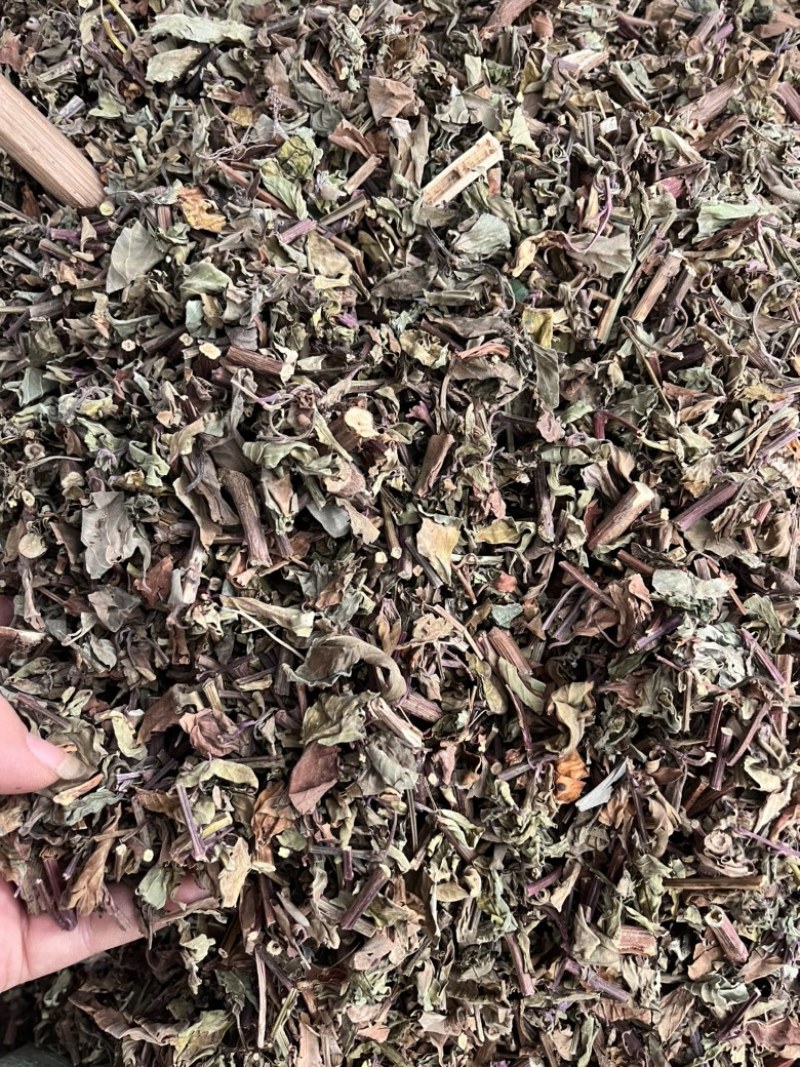 猫须草切段猫须草一公斤起发