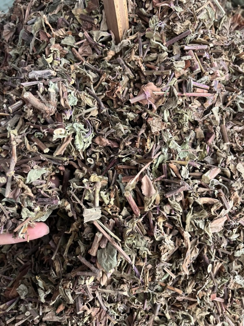 猫须草切段猫须草一公斤起发