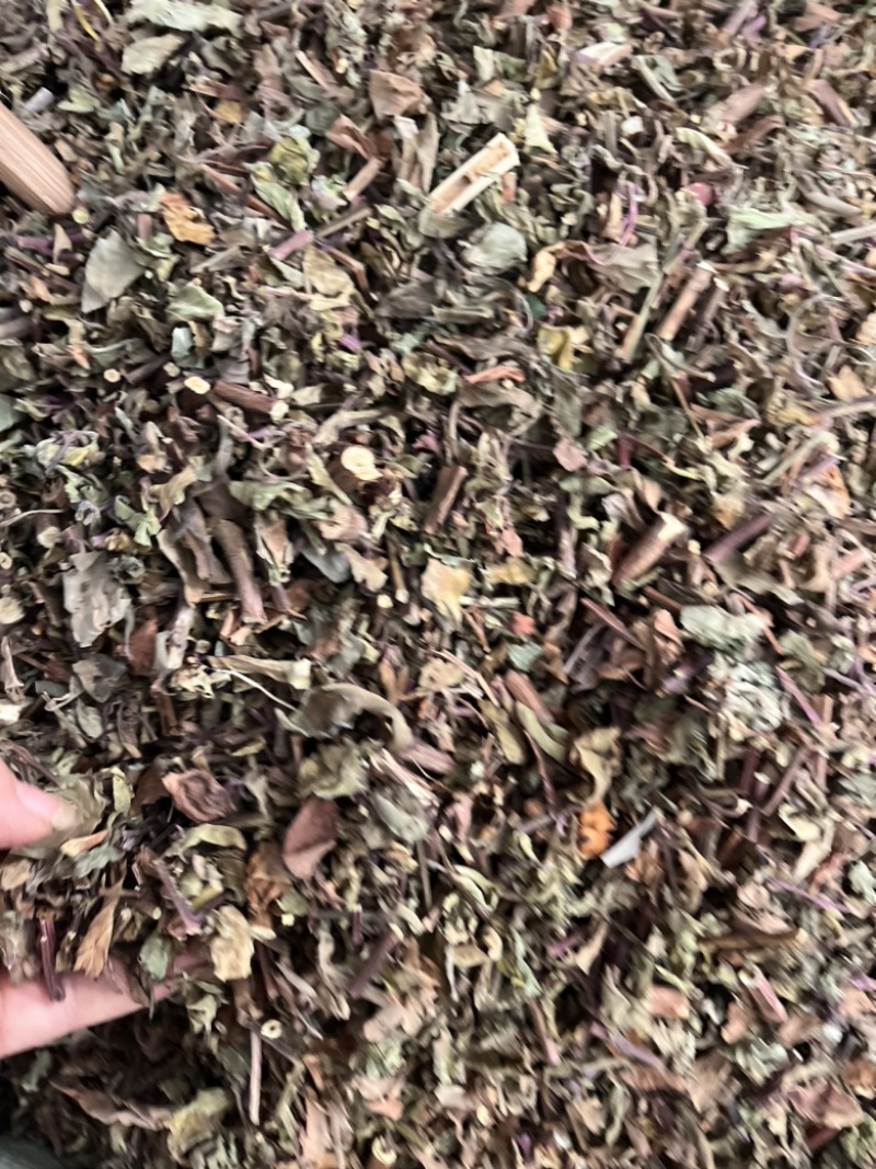 猫须草切段猫须草一公斤起发