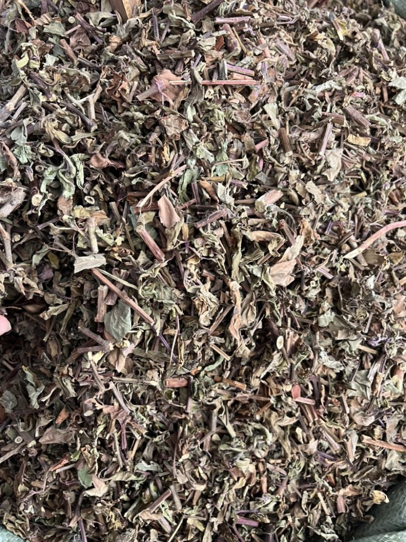 猫须草切段猫须草一公斤起发