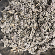 密蒙花密蒙花大量有货产地直发