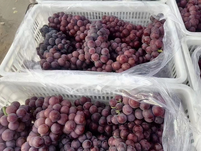 超市货架上的巨峰葡萄展示