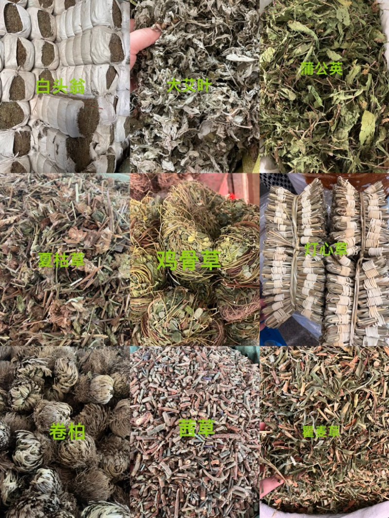 密蒙花密蒙花大量有货产地直发
