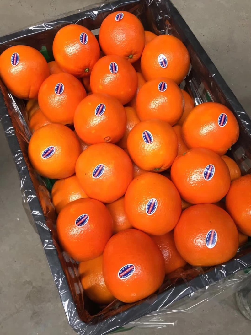 【品质优选】纽荷尔脐橙口碑好货复购率高诚信经营