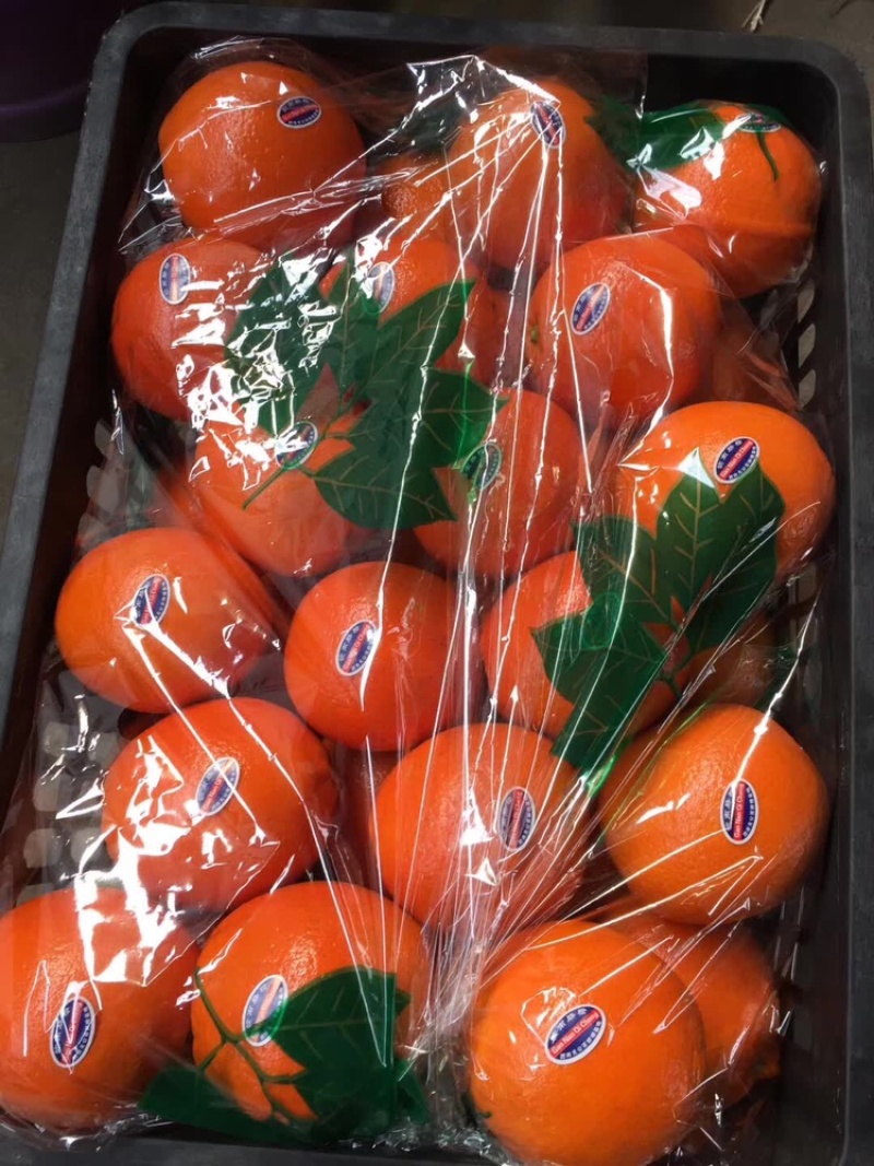 【品质优选】纽荷尔脐橙口碑好货复购率高诚信经营