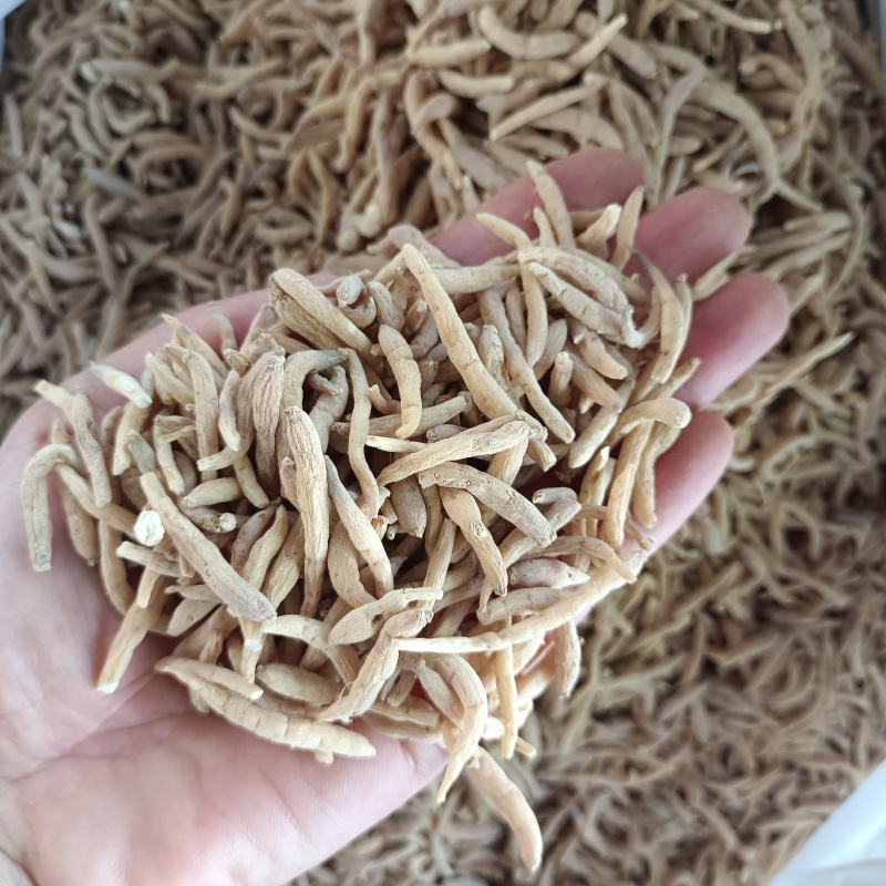 太子参无硫太子参粒粒饱满