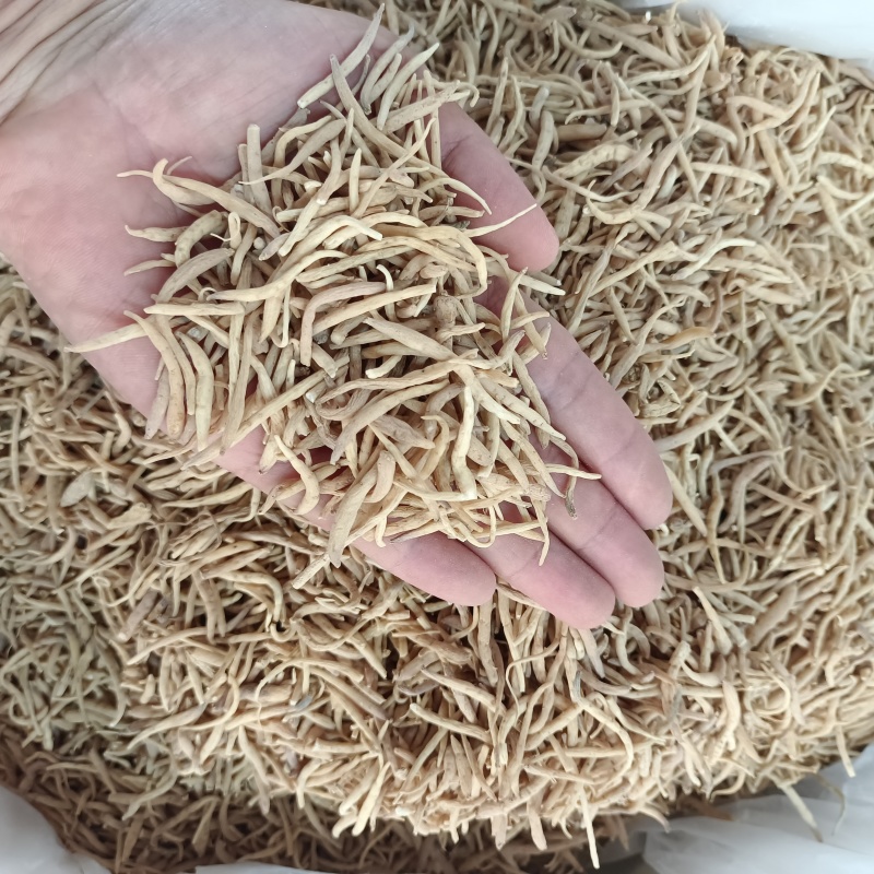 太子参无硫太子参粒粒饱满