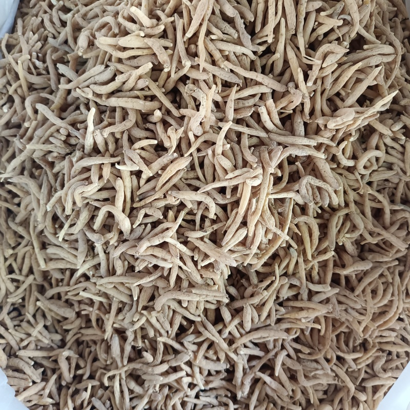 太子参无硫太子参粒粒饱满
