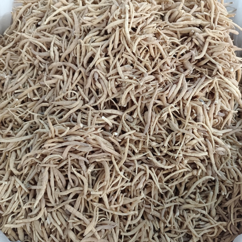 太子参无硫太子参粒粒饱满