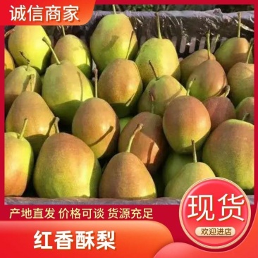 红香酥梨大量现货，欢迎客商选购