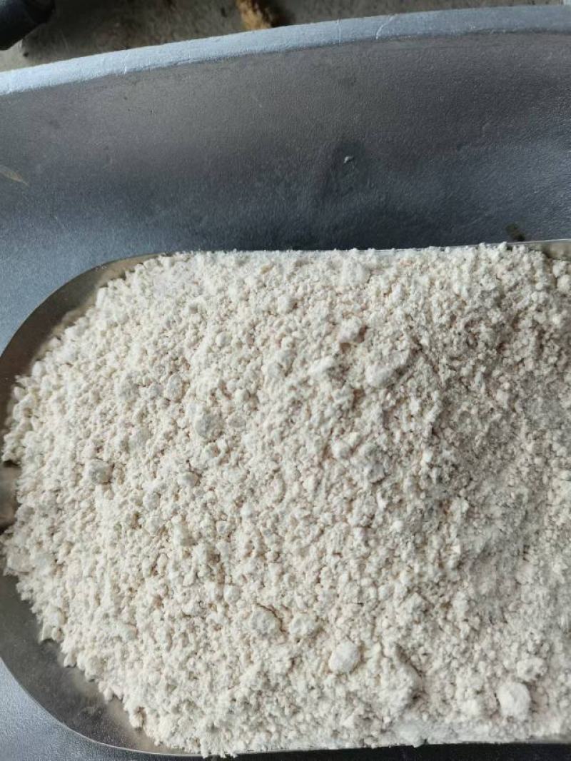 苦槠粉