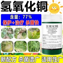77%氢氧化铜番茄早疫病高含量杀菌剂农药