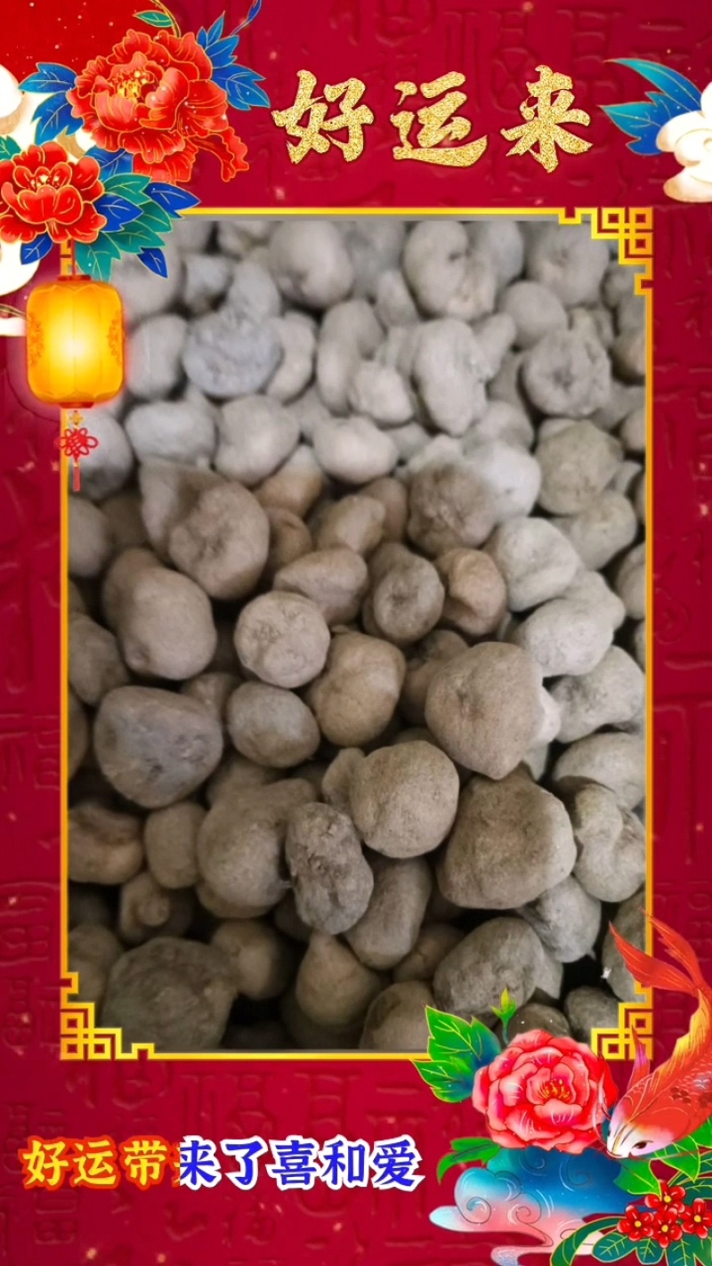 正中汉中城固原产地手选元胡种