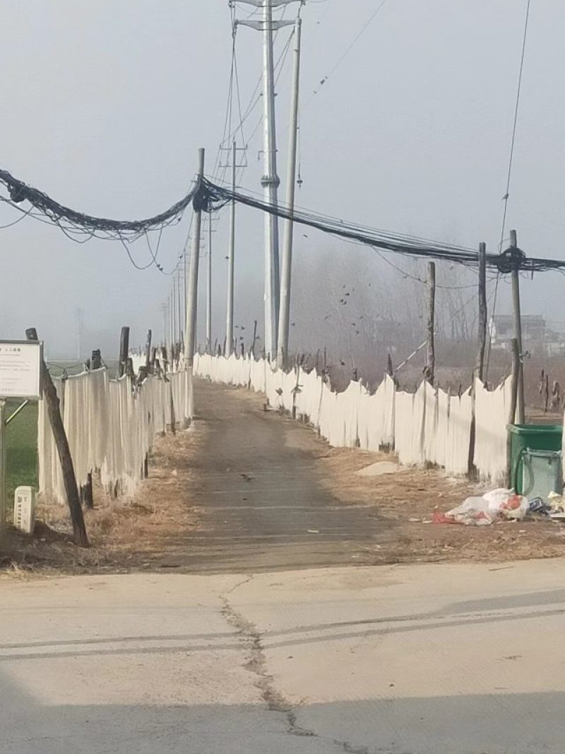 纯红薯水晶粉条一手货源，质品保障量大从优全国发货...